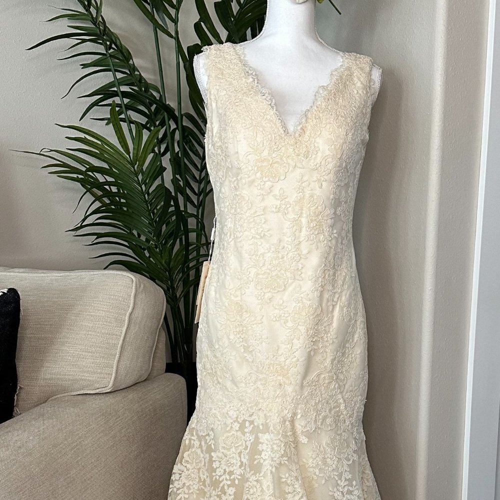 Lace bridal gown